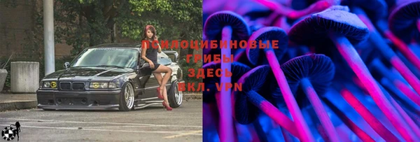 a pvp Михайловск
