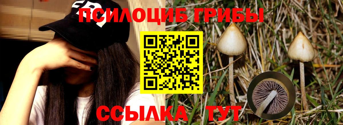 Галлюциногенные грибы мицелий Барнаул