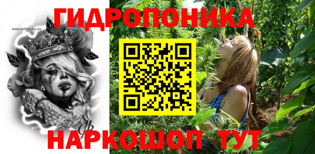 Конопля индика  Канабис семена  Барнаул  Каннабис марихуана 